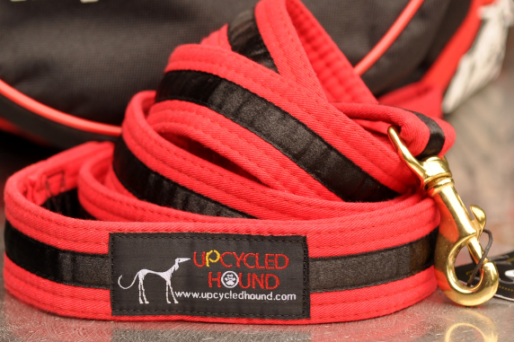 Karate Belt Leash Red with Black Stripe