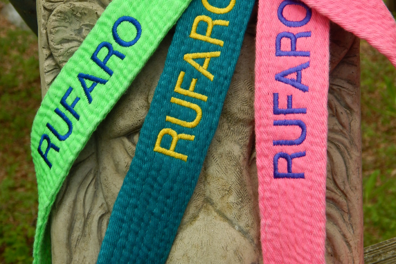 Karate Belt Leash Colors Lime, Teal and Hot Pink