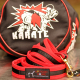 Karate Belt Leash
