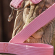 Soft Pink Leash