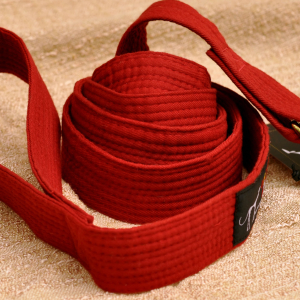 Karate Arts Belt Leash