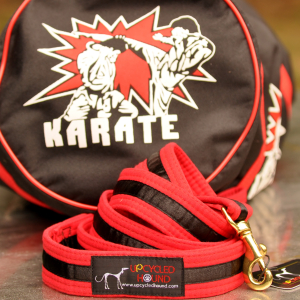 Karate Belt Leash