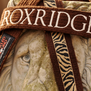 Karate Belt Leash embroidery and ribbon