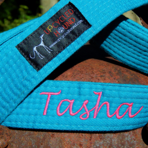 Karate Belt Leash Teal Color